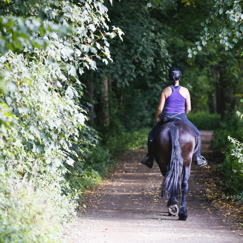 Een vrouwelijke ruiter rijdt het bos binnen met haar paard