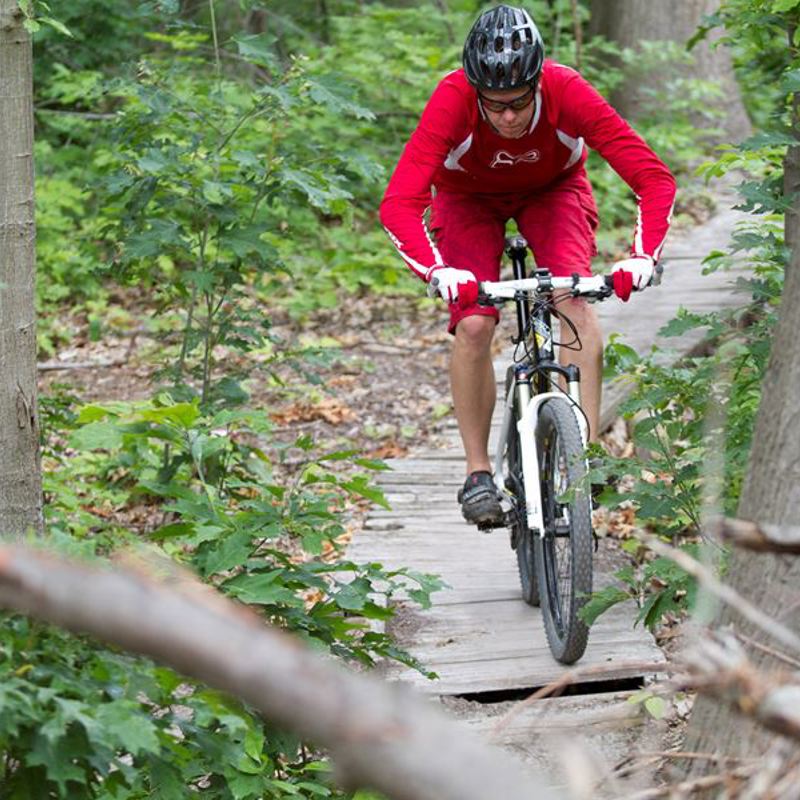 Een mountainbiker fiets op een smal pad op de Brunssummerheide