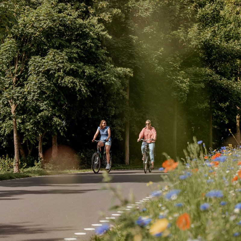 Twee dames op een zomerse dag fietsen over de Parkstadroute met bloemetjes langs de kant.
