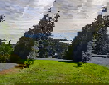 Uitzicht op bos en een groene weide 