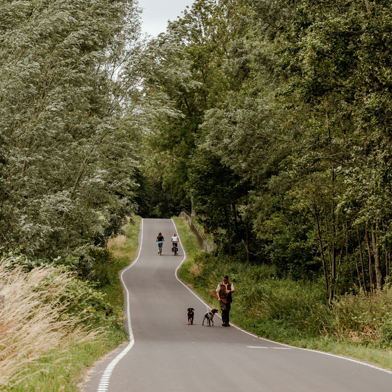 Voetgangers en fietsers tegelijk aan het recreëren op de Parkstadroute.
