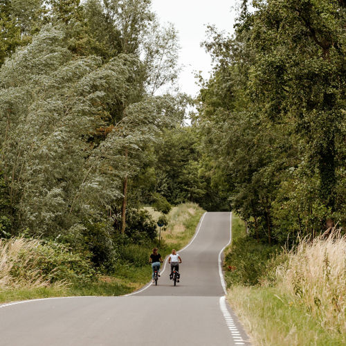 Twee fietsers fietsen over de glooiende heuvel op de Parkstadroute, tussen de bomen.
