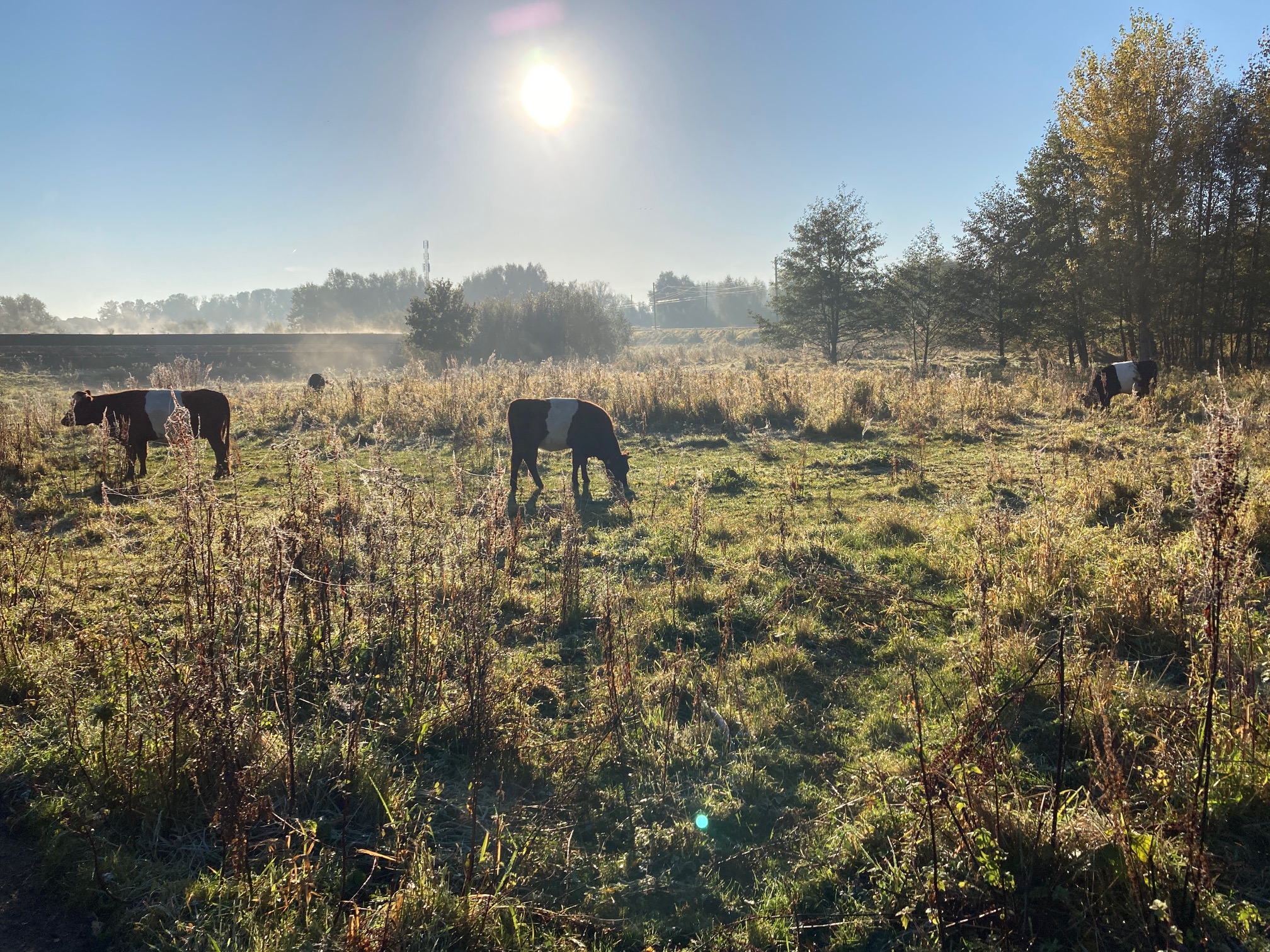 Lentewandeltocht de Trampelkeu Schimmert
