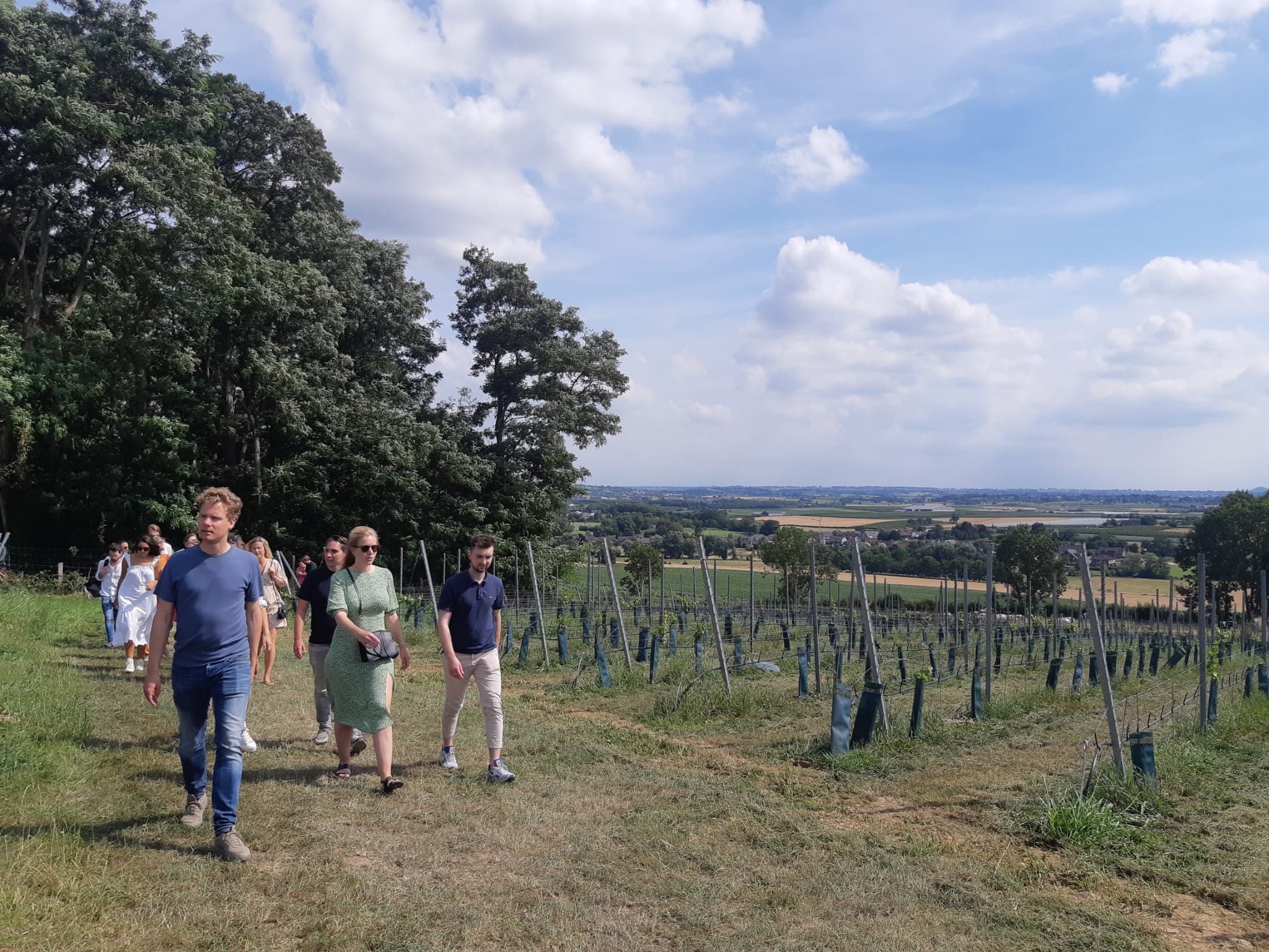 Wijngaardwandeling Voerendaal