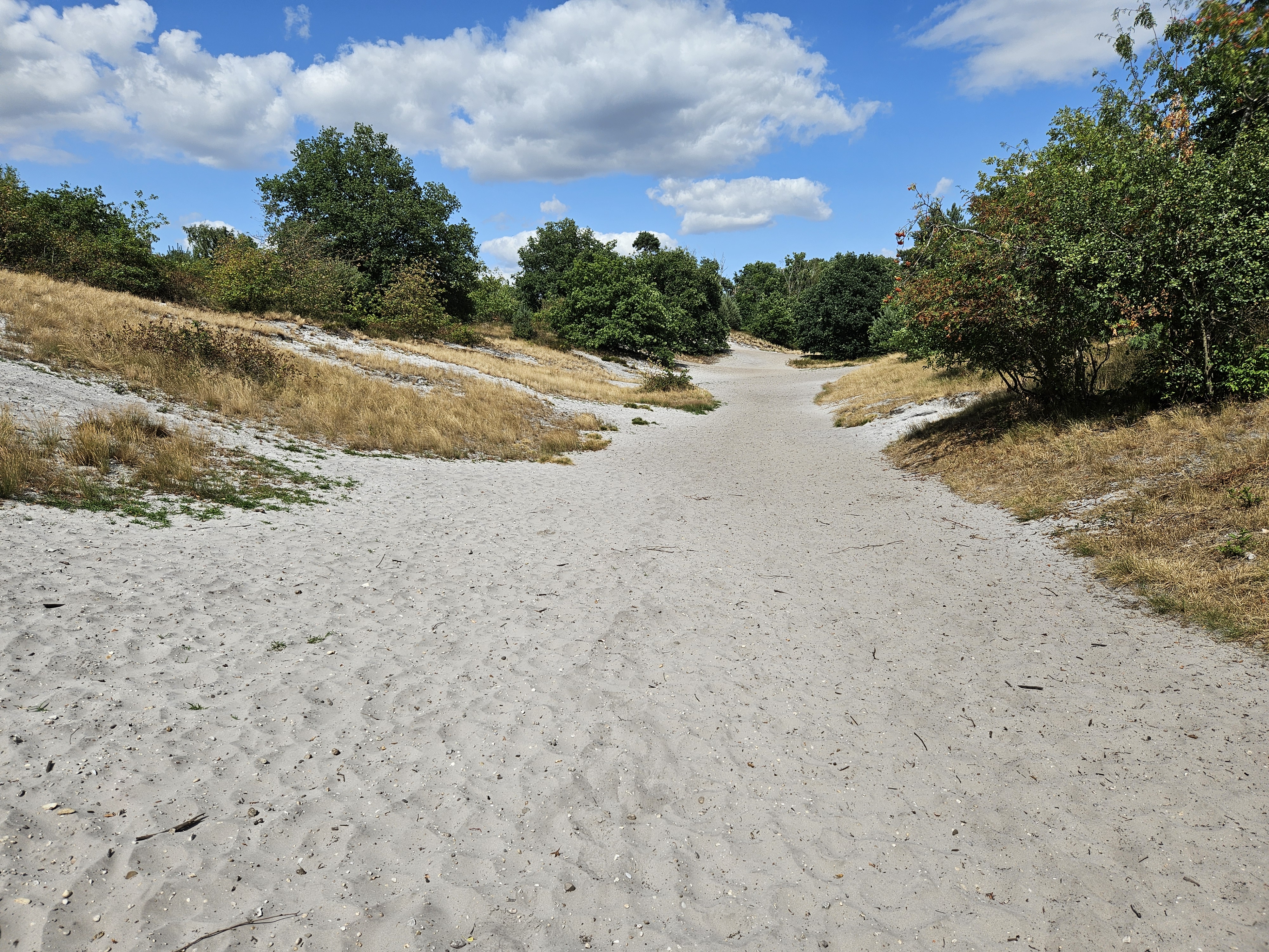 Mindful Stilte wandeling